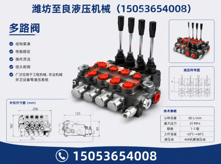 潍坊齿轮泵展示图